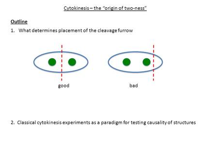 Cytokinesis – the “origin of two-ness” 1. What determines placement of the cleavage furrow goodbad 2. Classical cytokinesis experiments as a paradigm for.