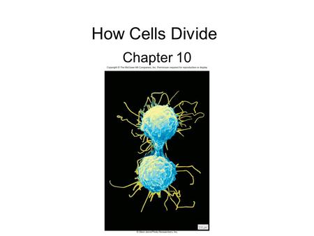 How Cells Divide Chapter 10.