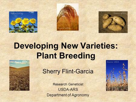 Developing New Varieties: Plant Breeding