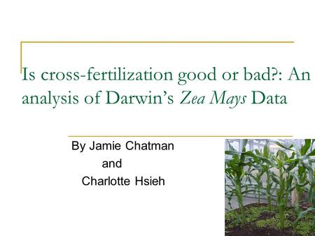 Is cross-fertilization good or bad?: An analysis of Darwin’s Zea Mays Data By Jamie Chatman and Charlotte Hsieh.