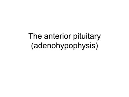 The anterior pituitary (adenohypophysis). The posterior pituitary is part of the brain; the anterior pituitary is not In embryonic development, anterior.