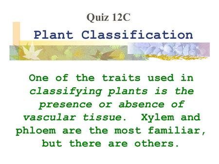 Plant Classification One of the traits used in classifying plants is the presence or absence of vascular tissue. Xylem and phloem are the most familiar,