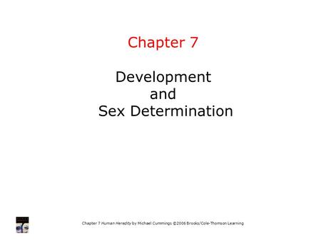 Chapter 7 Development and Sex Determination