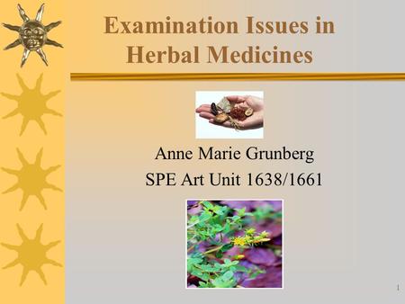 1 Examination Issues in Herbal Medicines Anne Marie Grunberg SPE Art Unit 1638/1661.