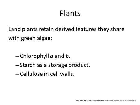 Plants Land plants retain derived features they share with green algae: – Chlorophyll a and b. – Starch as a storage product. – Cellulose in cell walls.