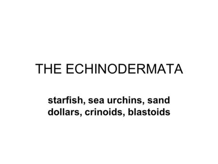 THE ECHINODERMATA starfish, sea urchins, sand dollars, crinoids, blastoids.