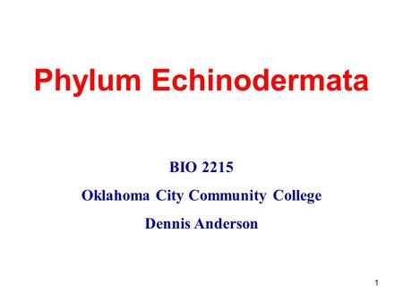 1 Phylum Echinodermata BIO 2215 Oklahoma City Community College Dennis Anderson.