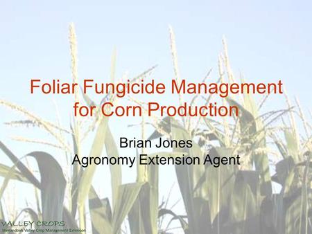 Foliar Fungicide Management for Corn Production Brian Jones Agronomy Extension Agent.