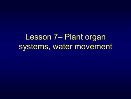 Lesson 7– Plant organ systems, water movement