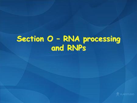 Section O – RNA processing and RNPs