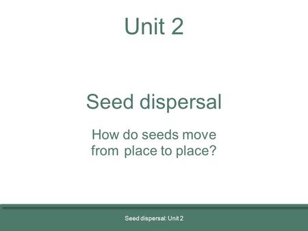 Unit 2 Seed dispersal How do seeds move from place to place?