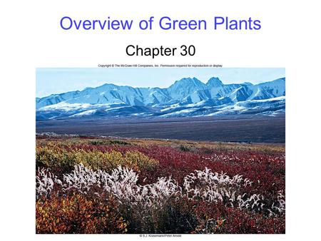 Overview of Green Plants