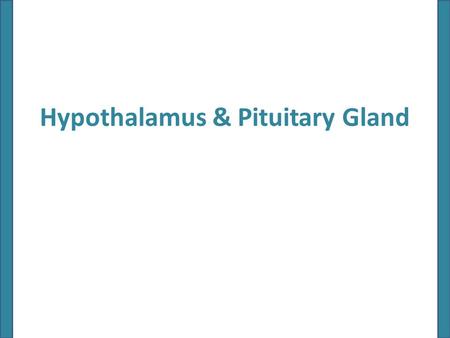 Hypothalamus & Pituitary Gland