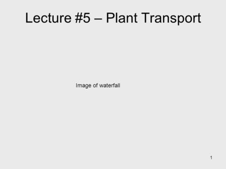 Lecture #5 – Plant Transport