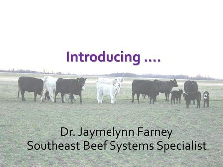 Introducing …. Dr. Jaymelynn Farney Southeast Beef Systems Specialist.