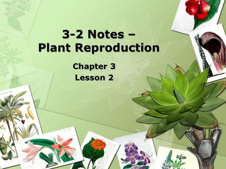 3-2 Notes – Plant Reproduction