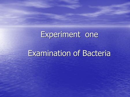 Experiment one Examination of Bacteria