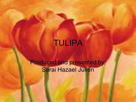 TULIPA Produced and presented by: Sarai Hazael Julien.