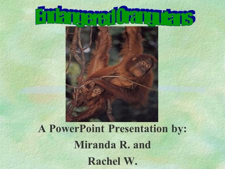 A PowerPoint Presentation by: Miranda R. and Rachel W.