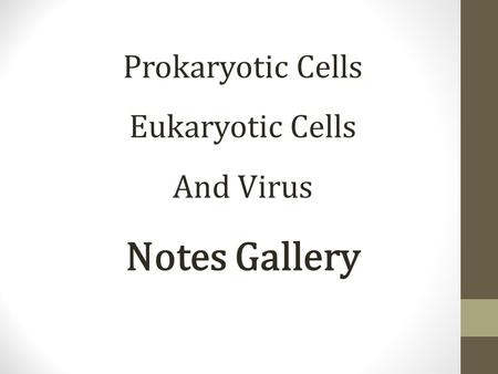 Prokaryotic Cells Eukaryotic Cells And Virus Notes Gallery.