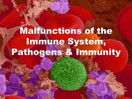 Malfunctions of the Immune System, Pathogens & Immunity.