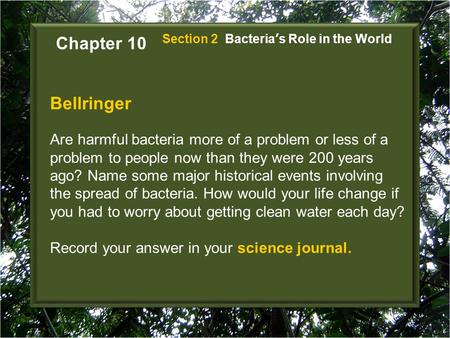 Chapter 10 Section 2  Bacteria’s Role in the World Bellringer