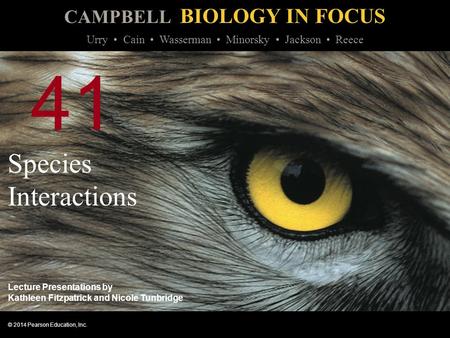 41 Species Interactions.
