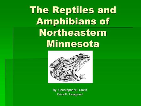 The Reptiles and Amphibians of Northeastern Minnesota By: Christopher E. Smith Erica P. Hoaglund.