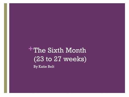 The Sixth Month (23 to 27 weeks)