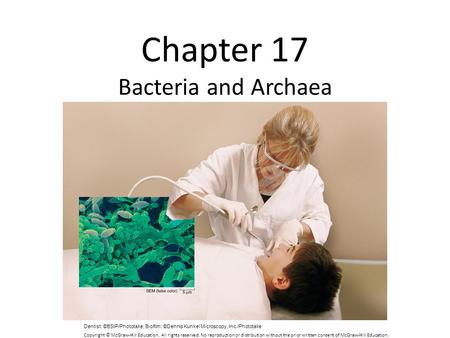 Chapter 17 Bacteria and Archaea Dentist: ©BSIP/Phototake; Biofilm: ©Dennis Kunkel Microscopy, Inc./Phototake Copyright © McGraw-Hill Education. All rights.