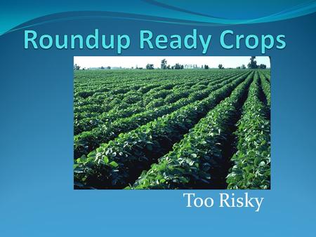 Too Risky. What are Roundup Ready Crops? Crops that have been genetically engineered to be resistant to Roundup herbicide Often these crops are made to.
