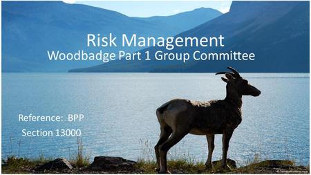 Risk Management Woodbadge Part 1 Group Committee Reference: BPP Section 13000.