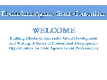 W HO A RE W E A group consisting of grant managers, financial specialists, government administrators and associated employees of the State of Florida.