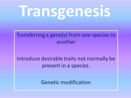 Transgenesis Transferring a gene(s) from one species to another Introduce desirable traits not normally be present in a species. Genetic modification.