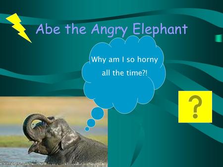 Abe the Angry Elephant Why am I so horny all the time?!
