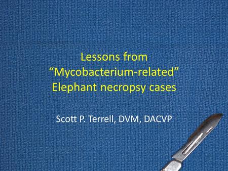 Lessons from “Mycobacterium-related” Elephant necropsy cases Scott P. Terrell, DVM, DACVP.