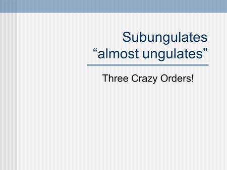 Subungulates “almost ungulates” Three Crazy Orders!
