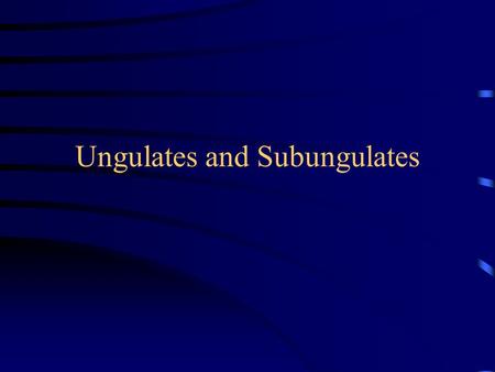 Ungulates and Subungulates. Ungulata Subungulates –Proboscidea elephants –Hyracoidea hyraxes –Sirenia dugongs and manatees Ungulates –Perrisodactyla odd.