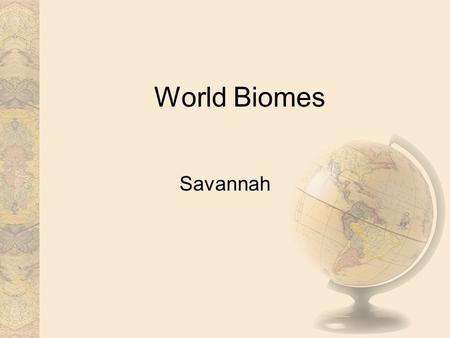 World Biomes Savannah. Distribution of biome A savanna is a rolling grassland scattered with shrubs and isolated trees, which can be found between a tropical.