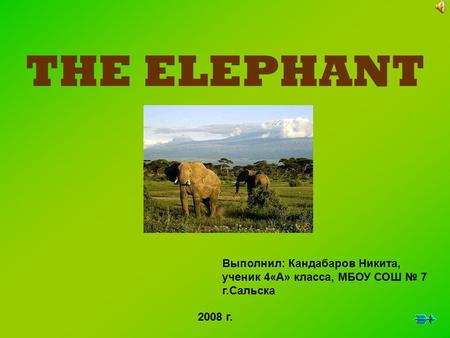 THE ELEPHANT Выполнил: Кандабаров Никита, ученик 4«А» класса, МБОУ СОШ № 7 г.Сальска 2008 г.
