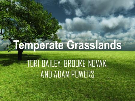 Temperate Grasslands TORI BAILEY, BROOKE NOVAK, AND ADAM POWERS.