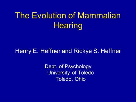 The Evolution of Mammalian Hearing Henry E. Heffner and Rickye S. Heffner Dept. of Psychology University of Toledo Toledo, Ohio.