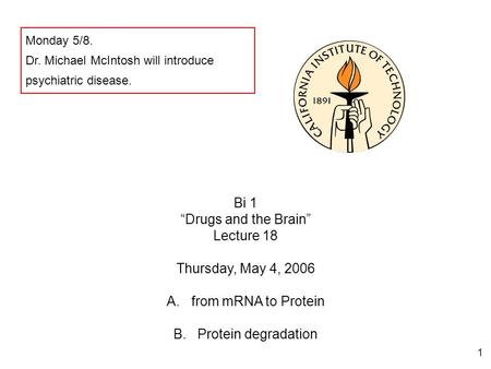 1 Bi 1 “Drugs and the Brain” Lecture 18 Thursday, May 4, 2006 A.from mRNA to Protein B. Protein degradation Monday 5/8. Dr. Michael McIntosh will introduce.