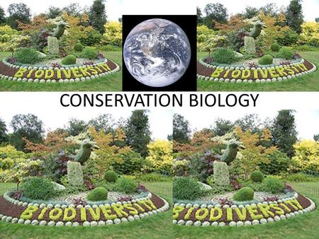 CONSERVATION BIOLOGY. – A GOAL-ORIENTED SCIENCE THAT SEEKS TO COUNTER THE BIODIVERSITY CRISIS A RAPID DECREASE IN EARTH’S GREAT VARIETY OF LIFE THERE.