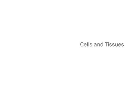 Cells and Tissues. Connective Tissue Found everywhere in the body Includes the most abundant and widely distributed tissues Functions Binds body tissues.
