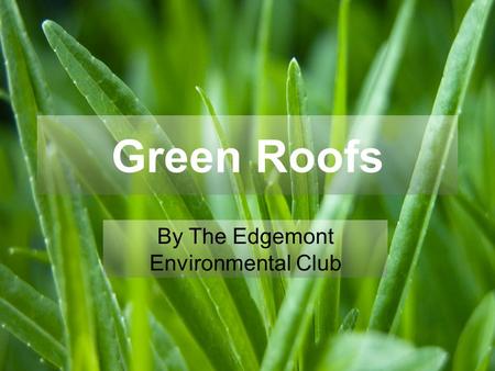 Green Roofs By The Edgemont Environmental Club. What are green roofs? Roofs that are either partially or completely covered with plants are considered.