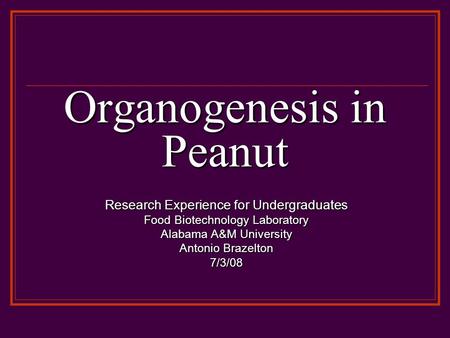 Organogenesis in Peanut Research Experience for Undergraduates Food Biotechnology Laboratory Alabama A&M University Antonio Brazelton 7/3/08.