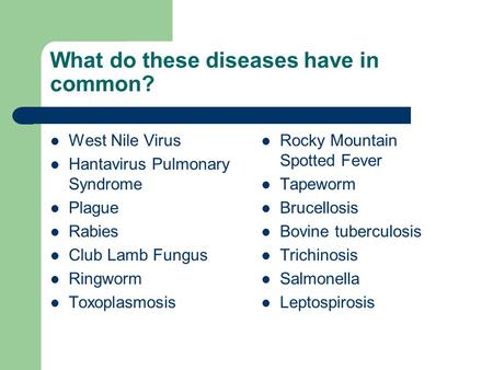 What do these diseases have in common? West Nile Virus Hantavirus Pulmonary Syndrome Plague Rabies Club Lamb Fungus Ringworm Toxoplasmosis Rocky Mountain.