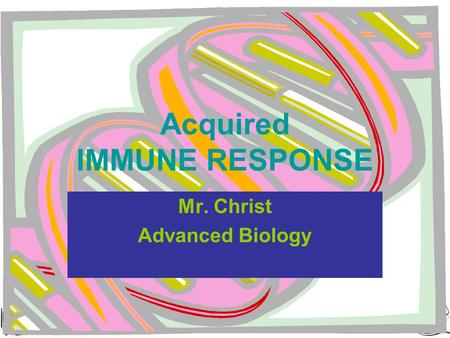 Acquired IMMUNE RESPONSE Mr. Christ Advanced Biology.
