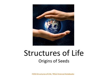 Structures of Life Origins of Seeds